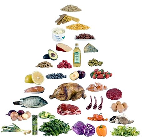 low carb diet low carb diet