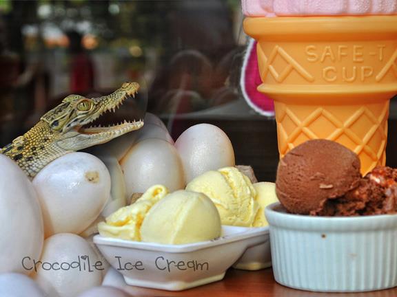 Sweet Spot Srtisan Ice Cream crocodile ice cream cover 