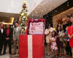 Seda Abreeza Christmas Tree Lighting Ceremony 2019
